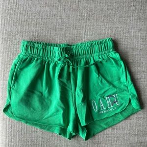Wild Fable Hawaii shorts